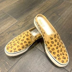 CHEETAH KEDS size 8